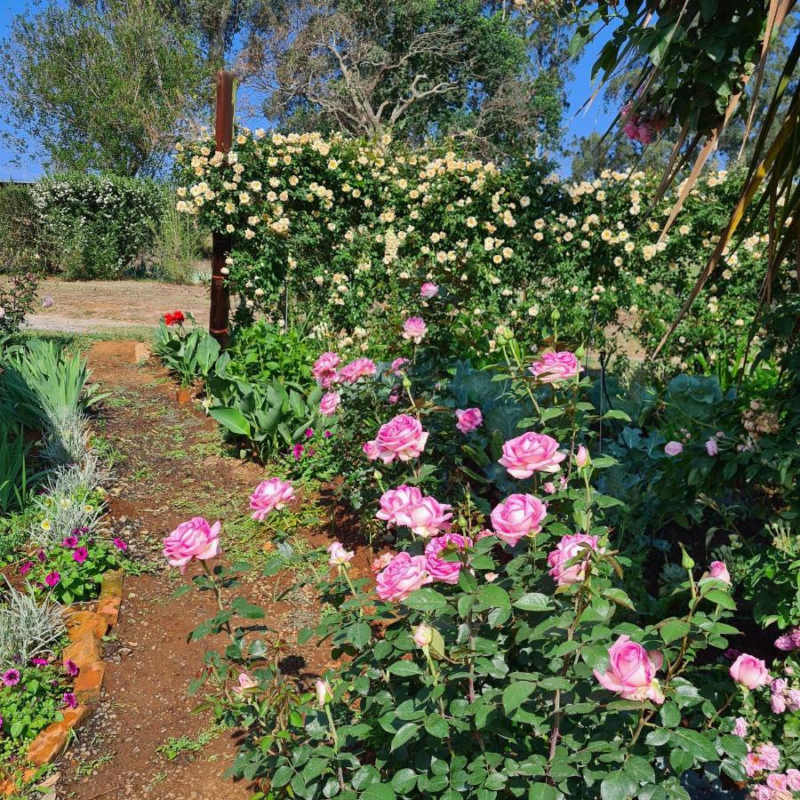 Piccadilly Farm Cottages Lions River Luaran gambar