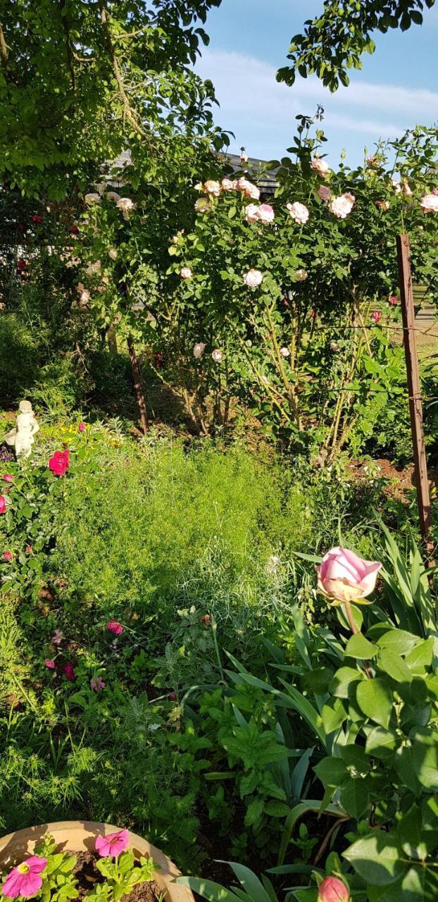 Piccadilly Farm Cottages Lions River Luaran gambar